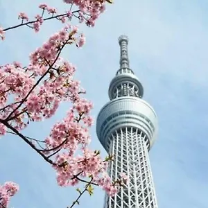 日本橋室町bay 東京都